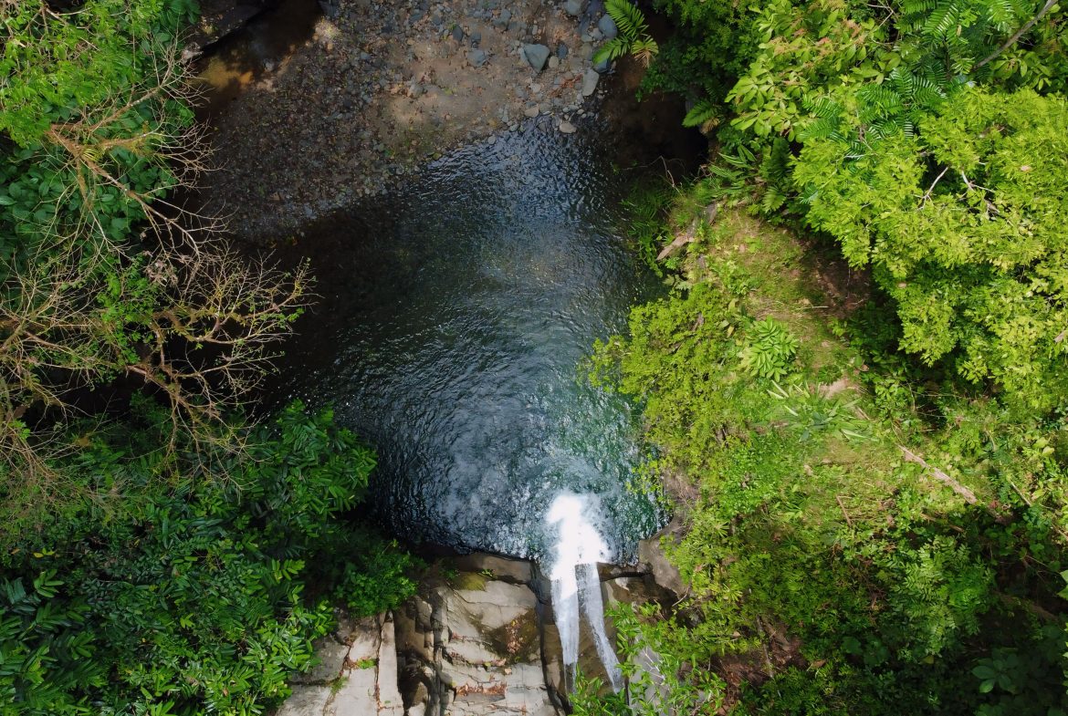JUNGLE DREAMS FARM: WHERE NATURE MEETS SERENITY – 20 ACRES
